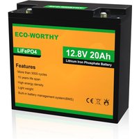 Eco-worthy - Lithium batterie 12V 20Ah LiFePO4 Akku mit über 3000+ Tiefzyklus und bms Schutz von ECO-WORTHY