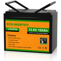 Neuwertig] Eco-worthy LiFePO4 Lithium batterie 12V 100Ah Solarbatterie Akku mit über 3000+ Mal Tiefzyklen und bms Schutz für Solar-Inselanlagen, von ECO-WORTHY