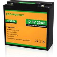 Neuwertig] Eco-worthy Lithium batterie 12V 20Ah LiFePO4 Akku mit über 3000+ Tiefzyklus und bms Schutz von ECO-WORTHY