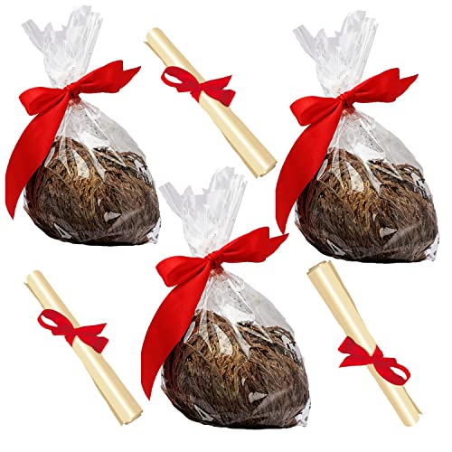 3 unverpackte lose Jericho-Rosen, ausgewählt und gereinigt Promo auf Menge 3 unverpackte lose Jericho-Rosen, ausgewählt und gereinigt Promo auf Menge von ECOCLASS