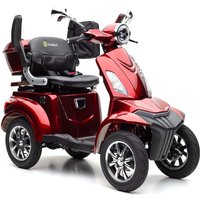 BENNI 4.0 - 25 KM/H Lithium Bordeaux von ECONELO