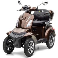 BENNI 4.0 - 25 KM/H Lithium Braun von ECONELO