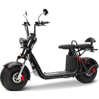 ECONELO Chopper HR2-2 - 45 KM/H Lithium Schwarz von ECONELO