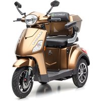 ECONELO J1000 - 25 KM/H Lithium Braun von ECONELO