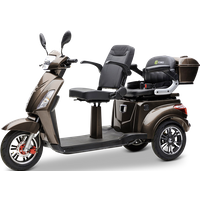 Econelo BILLY 2.0, 1000 Watt, Braun von ECONELO