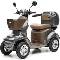Lunar Q PREMIUM - 25 KM/H Lithium Anthrazit von ECONELO