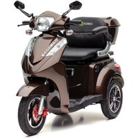S1000 - 25 KM/H Lithium Braun von ECONELO