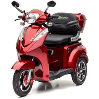 S1000 - 25 KM/H Lithium Rot von ECONELO