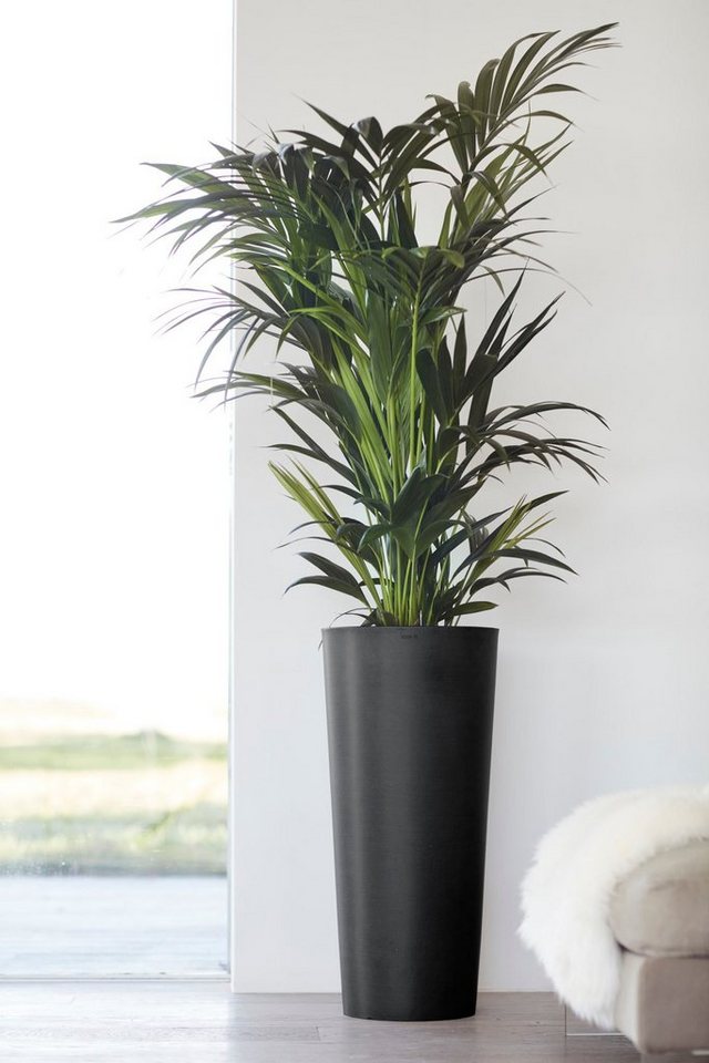 ECOPOTS Blumentopf Amsterdam, ØxH: 32x72 cm von ECOPOTS