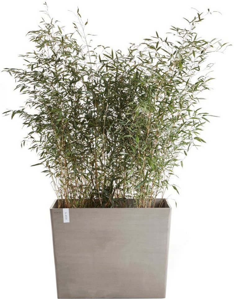 ECOPOTS Blumentopf Paris mit Rollen 85 Taupe, für den Außenbereich: frostsicher, bruchsicher und lichtbeständig ECOPOTS Blumentopf Paris mit Rollen 85 Taupe, für den Außenbereich: frostsicher, bruchsicher und lichtbeständig von ECOPOTS