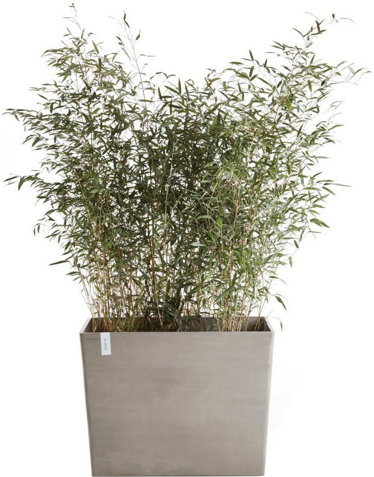 ECOPOTS Blumentopf Paris mit Rollen 85 Taupe, für den Außenbereich: frostsicher, bruchsicher und lichtbeständig von ECOPOTS