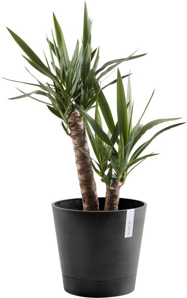 ECOPOTS Blumentopf VENICE Dark Grey, BxTxH: 40x40x35 cm von ECOPOTS