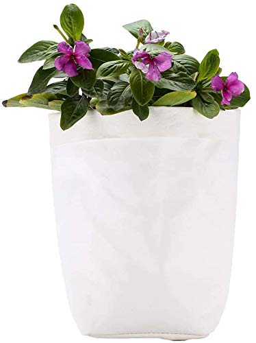 ECOSWAY Wiederverwendbar Waschbar Kraftpapier Tasche Pflanze Blumen Töpfe Multifunktion Heim Aufbewahrungstasche - Weiß, 10X10X20CM von ECOSWAY