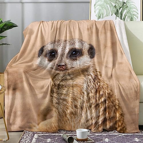 ECOTOS Kuscheldecke 150x200 Erdmännchen Flauschige Decke Tiere Fleecedecke Sofadecke Couchdecke, Flanell Decken Blanket, Große XL Wohndecke Winter Warm Weich von ECOTOS