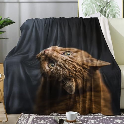 ECOTOS Kuscheldecke Kätzchen Flauschig Decke 150x200 Katzen Fleecedecke Sofadecke Couchdecke, Flanell Decken Blanket, Große XL Wohndecke Winter Warm Weich von ECOTOS