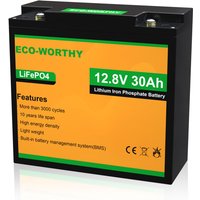 Eco-worthy - Lithium batterie 12V 30Ah LiFePO4 Akku mit über 3000+ Tiefzyklus und bms Schutz für Kinder Quad, Kinderfahrzeug, Außenborder, Wohnmobil, von ECO-WORTHY