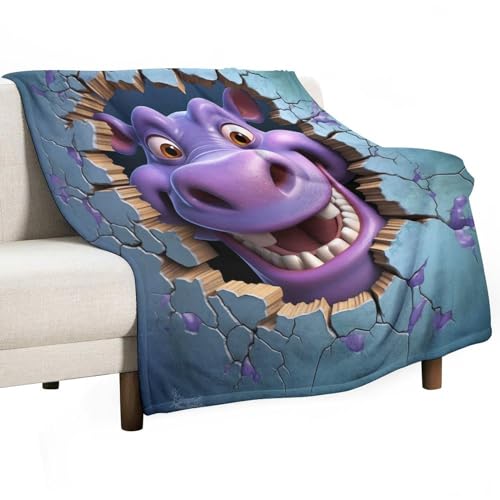 ECWECC Decke Nilpferd Kuscheldecke Für Meine Tochter, An Meine Jungen Decke Von Mama, Gedruckt Decken 3D-Tier Für Weihnachten Geschenke Zum Schulabschluss 180x200cm ECWECC Decke Nilpferd Kuscheldecke Für Meine Tochter, An Meine Jungen Decke Von Mama, Gedruckt Decken 3D-Tier Für Weihnachten Geschenke Zum Schulabschluss 180x200cm von ECWECC