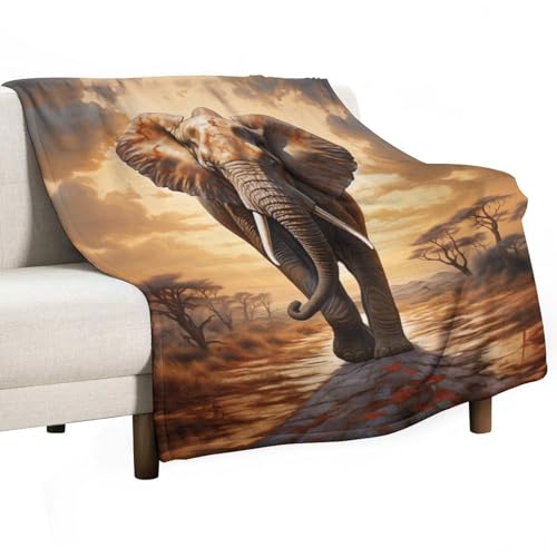 ECWECC Decken Mit Elefanten Jungen Bedruckt Kuscheldecke, Kinderdecke Afrikanisches Tier Flauschige Plüsch Decke, Wohndecke Fleece TV Decken Für Bett Sofa (130x180cm) von ECWECC