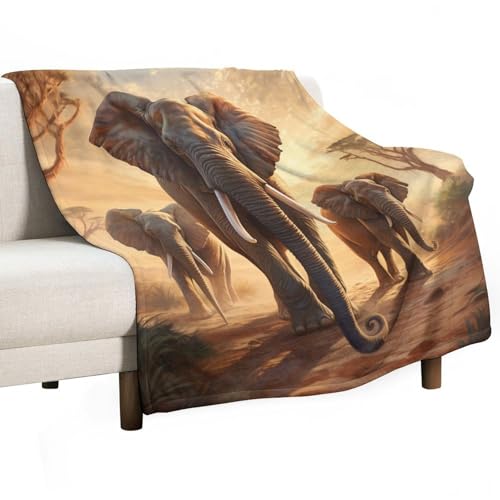 ECWECC Kuscheldecke Fleecedecke Elefanten Flanell Sofadecke Decke Weich Flauschig Afrikanisches Tier Wohndecken Couchdecke Blanket Für Bett Sofa Schlafzimmer Büro 150x200cm von ECWECC