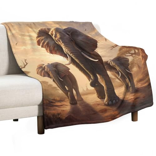 ECWECC Kuscheldecke Mit Elefanten Fleecedecke Afrikanisches Tier, Sanft Flanell Weich Decke Für Teenager Kinder, Mikrofaser Couchdecke, Afrikanisches Tier Decke Geschenke (180x200cm) von ECWECC