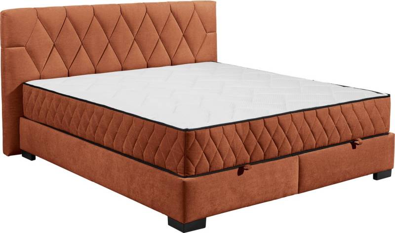 ED EXCITING DESIGN Boxbett Nagol, mit Bettkasten, mit Wendematratze, erhältlich in verschiedenen Breiten von ED EXCITING DESIGN