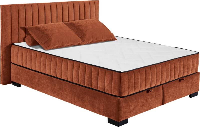 ED EXCITING DESIGN Boxbett Nagol, mit Bettkasten, mit Wendematratze, erhältlich in verschiedenen Breiten von ED EXCITING DESIGN
