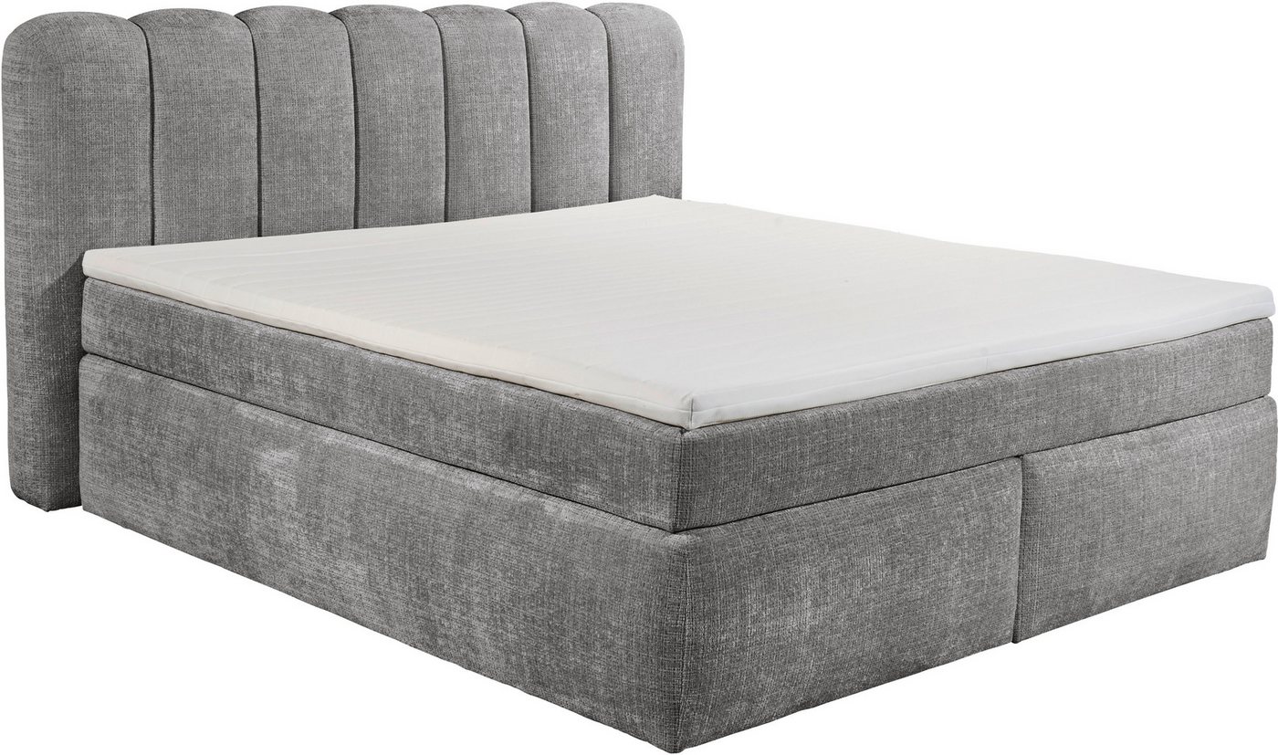 ED EXCITING DESIGN Boxspringbett Gibsons in der Größe 200x220cm, Überlänge, erhältlich in verschiedenen Farben von ED EXCITING DESIGN