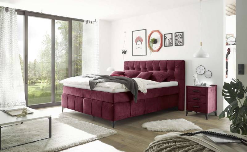 ED EXCITING DESIGN Boxspringbett Oregon 180x200 inkl. Topper und Duo-Matratze (Boxspringbett mit Duo‑Matratze & Topper), inkl. Duo-Matratze, Kokosmatte, Filzabdeckung von ED EXCITING DESIGN