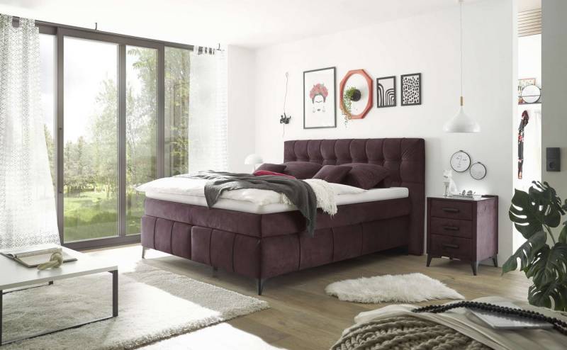 ED EXCITING DESIGN Boxspringbett Oregon 180x200 inkl. Topper und Duo-Matratze (Boxspringbett mit Duo‑Matratze & Topper), inkl. Duo-Matratze, Kokosmatte, Filzabdeckung von ED EXCITING DESIGN