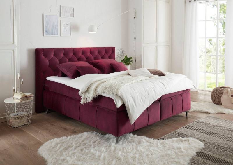 ED EXCITING DESIGN Boxspringbett Pembroke, inkl. Topper von ED EXCITING DESIGN