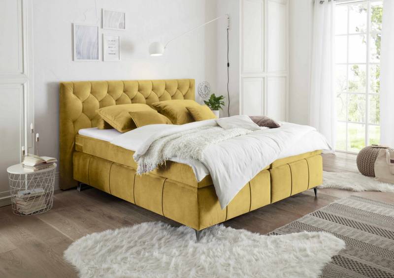 ED EXCITING DESIGN Boxspringbett Pembroke 180x200 inkl. Topper und H2/H3 Matratze (Komplett-Bett, Unterbox + Matratze + Topper), 180x200 inkl. Topper und H2/H3 Matratze, Samtoptik von ED EXCITING DESIGN