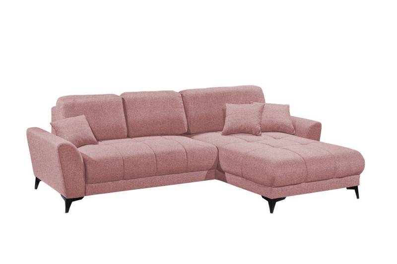 ED EXCITING DESIGN Ecksofa Bern, mit Schlaffunktion & Bettkasten von ED EXCITING DESIGN