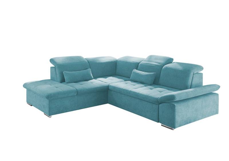 ED EXCITING DESIGN Ecksofa Wayne, mit Schlaffunktion & Bettkasten, 2x Nierenkissen von ED EXCITING DESIGN