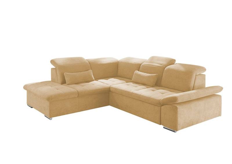 ED EXCITING DESIGN Ecksofa Wayne, mit Schlaffunktion & Bettkasten, 2x Nierenkissen von ED EXCITING DESIGN