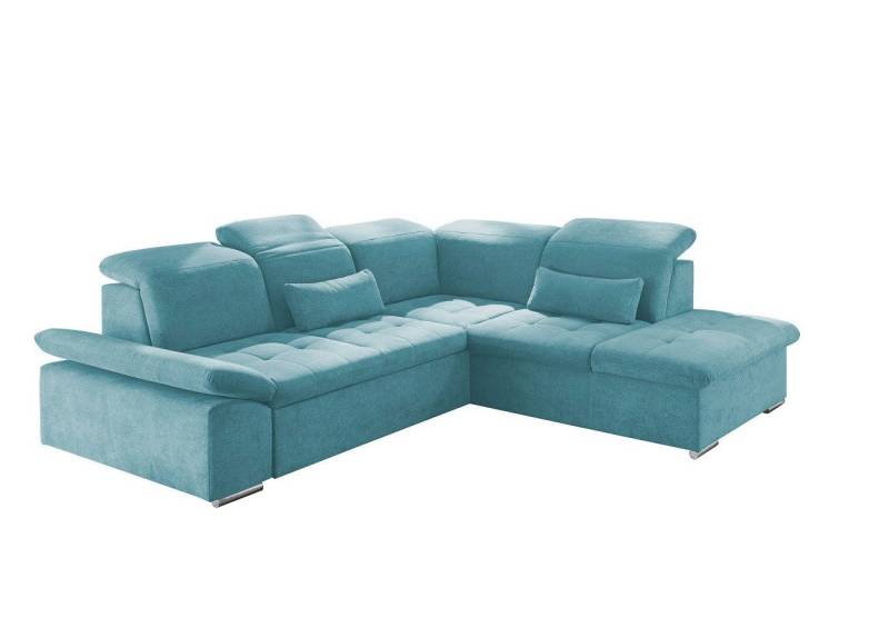 ED EXCITING DESIGN Ecksofa Wayne, mit Schlaffunktion & Bettkasten, 2x Nierenkissen von ED EXCITING DESIGN