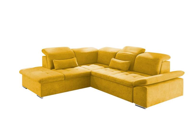 ED EXCITING DESIGN Ecksofa Wayne, mit Schlaffunktion & Bettkasten, 2x Nierenkissen von ED EXCITING DESIGN