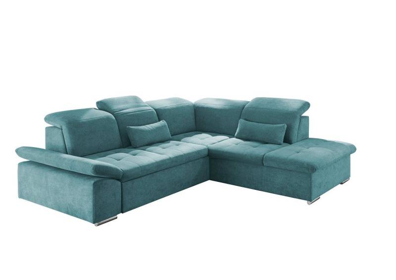 ED EXCITING DESIGN Ecksofa Wayne, mit Schlaffunktion & Bettkasten, 2x Nierenkissen von ED EXCITING DESIGN