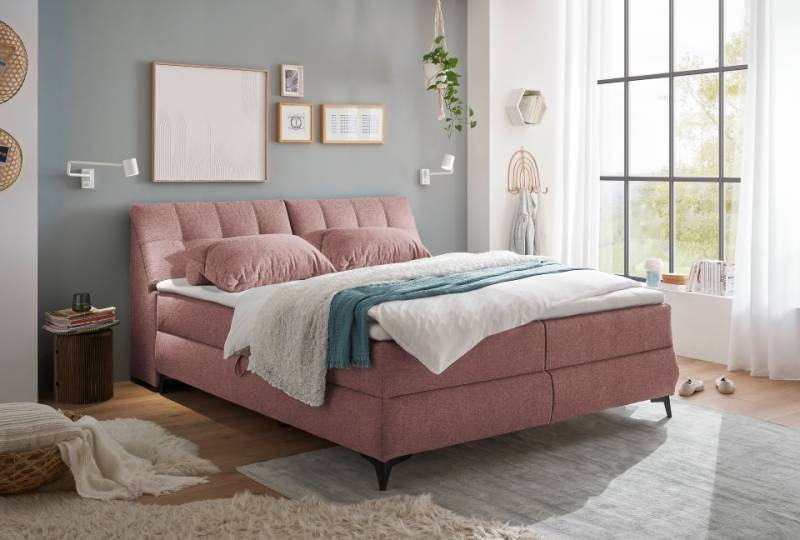 ED Exciting Design Boxbett Atlantis: Flachgewebe, Bettkasten, Topper – Myhomelando, verschiedene Größen & Farben von ED Exciting Design