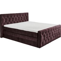 ED Lifestyle Cashfield 8 Boxspringbett Holzwerkstoff/Tonnentaschenfederkern H2 180x200cm von ED-Lifestyle