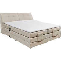 ED Lifestyle Concord 2 Boxspringbett Holzwerkstoff/Tonnentaschenfederkern H2 180x200 cm von ED-Lifestyle