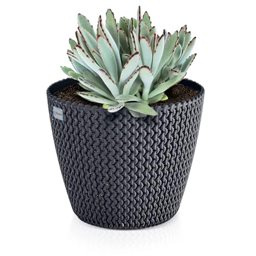 Blumentopf ECO Pflanzentopf Blumenkübel Runde Blumentöpfe Klein Natürlicher Töpfe mit Holz Pflanzkübel Übertopf Innen- und Außenbereich für Blumen Garten Balkon Terrasse Haus (Anthrazit, 13 cm) Blumentopf ECO Pflanzentopf Blumenkübel Runde Blumentöpfe Klein Natürlicher Töpfe mit Holz Pflanzkübel Übertopf Innen- und Außenbereich für Blumen Garten Balkon Terrasse Haus (Anthrazit, 13 cm) von EDANTI