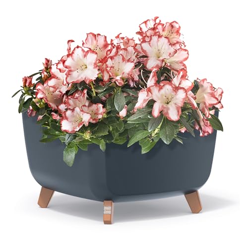 Blumentopf Schale mit Füßen Pflanzentopf Blumentöpfe Rechteckig Gross Klein Töpfe Pflanzschale Pflanzkübel Übertopf Innen- und Außenbereich für Blumen Garten Balkon Terrasse Haus (Anthrazit, 39 cm) von EDANTI