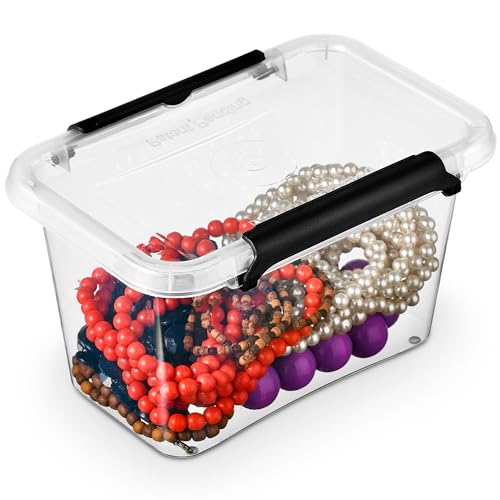 EDANTI Aufbewahrungsbox Mit Deckel Clips Organizer Badezimmer Küche Büro Schubladenbox Frischhaltedosen Sortierbox Medikamenten Aufbewahrung Sortimentskasten Plastikbox Klein Transparent (0,65l) von EDANTI