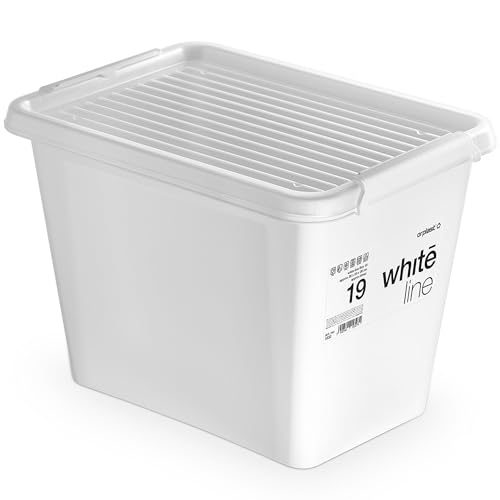 EDANTI Aufbewahrungsbox Mit Deckel Clips Organizer Ideal für Büro, Kinderzimmer, Küche, Schlafzimmer Sortierbox Sortimentskasten Plastikbox Weiß (19l) von EDANTI