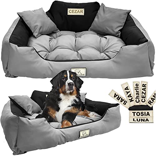 EDANTI Hundebett Hundekissen Katzenbett Personalisiert Hundesofa mit Namen L - XL für große mittelgroße & kleine Hunde (100x75, Grau) von EDANTI