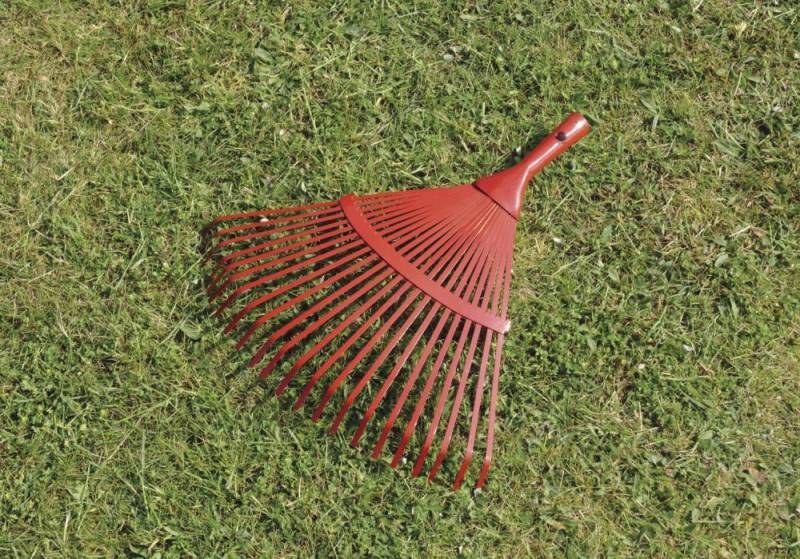 Laubbesen 22 Zk. feststehend von EDE - Elmar Jung