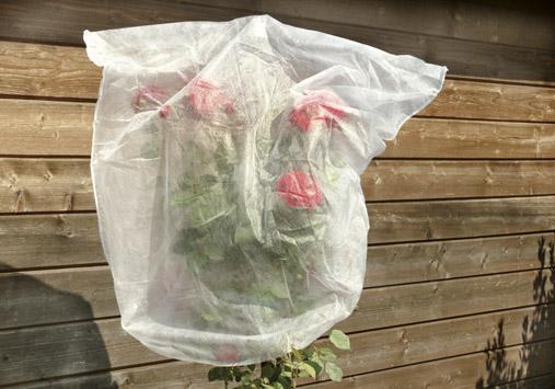 Rosenhaubenvlies 5er Set 0,8x0,75 m 17g von EDE - Elmar Jung