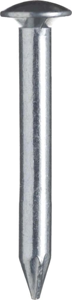 Hartstahlnägel Linsenkopf3,6x 50 verzinkt BÄR Hartstahlnägel Linsenkopf3,6x 50 verzinkt BÄR von EDE - Schürmann & Hilleke