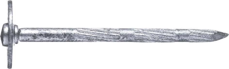 Scheibenkopfnagel Nr.56 3,5x 60 BÄR Scheibenkopfnagel Nr.56 3,5x 60 BÄR von EDE - Schürmann & Hilleke