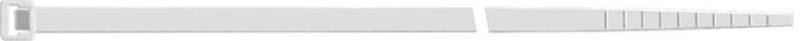 Kabelbinder Nylon natur 180x7,5mm a100Stück SapiSelco Kabelbinder Nylon natur 180x7,5mm a100Stück SapiSelco von EDE